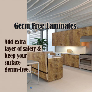 Plywood and Laminate