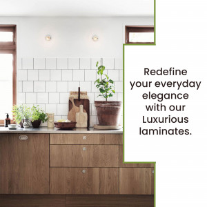 Plywood and Laminate