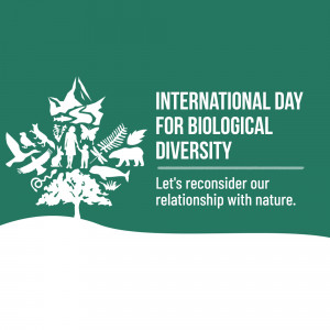 International Day for Biological Diversity