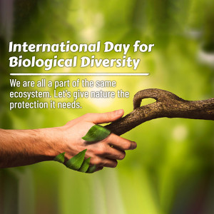International Day for Biological Diversity