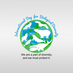 International Day for Biological Diversity