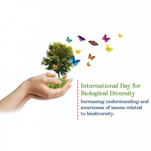International Day for Biological Diversity