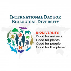 International Day for Biological Diversity