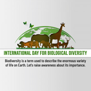 International Day for Biological Diversity