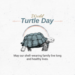 World Turtle Day