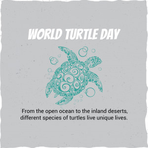 World Turtle Day