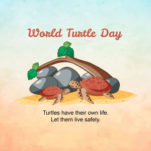 World Turtle Day