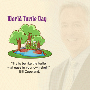 World Turtle Day