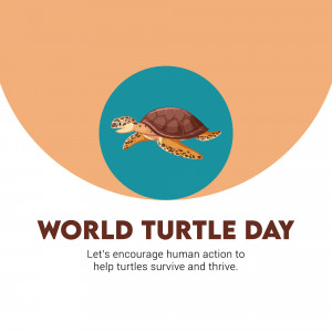 World Turtle Day