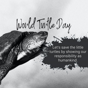 World Turtle Day