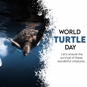 World Turtle Day