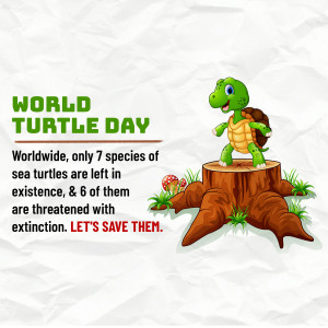 World Turtle Day