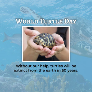World Turtle Day