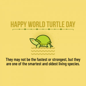 World Turtle Day