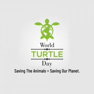 World Turtle Day