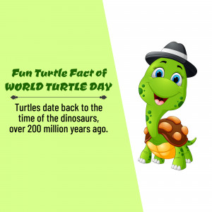 World Turtle Day