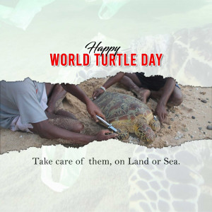 World Turtle Day