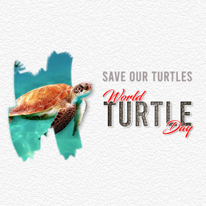 World Turtle Day