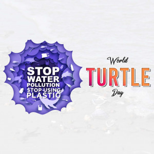 World Turtle Day