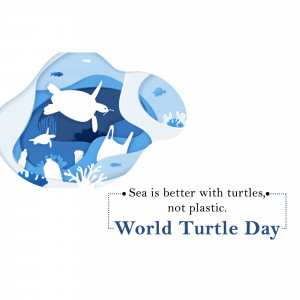 World Turtle Day