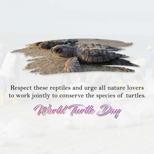 World Turtle Day