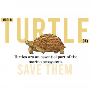 World Turtle Day