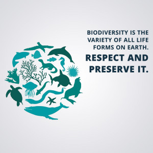 International Day for Biological Diversity