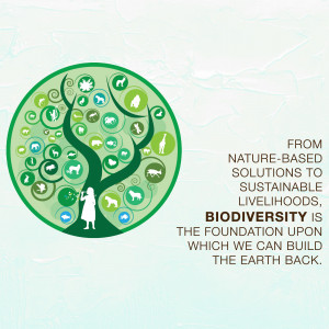 International Day for Biological Diversity