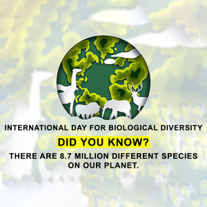International Day for Biological Diversity