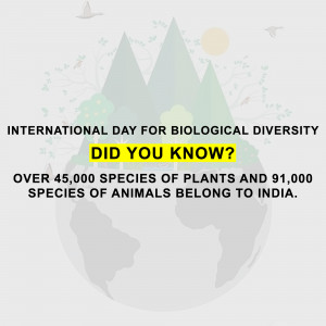 International Day for Biological Diversity