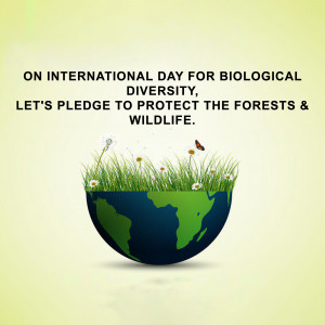 International Day for Biological Diversity