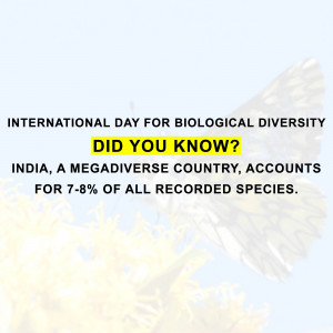 International Day for Biological Diversity