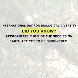International Day for Biological Diversity