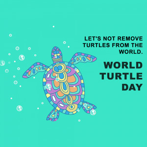World Turtle Day