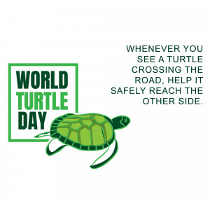 World Turtle Day