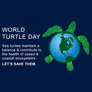 World Turtle Day