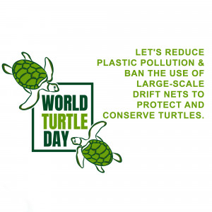 World Turtle Day