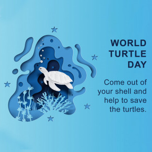 World Turtle Day