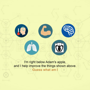 World Thyroid Awareness Day