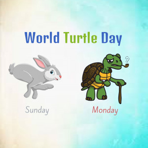World Turtle Day