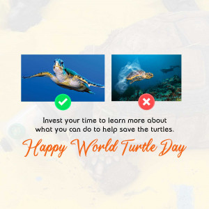 World Turtle Day