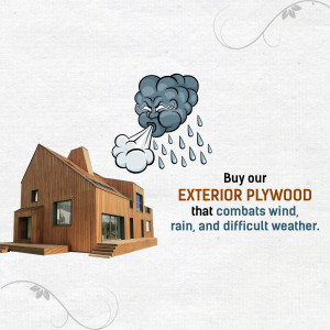 Plywood and Laminate