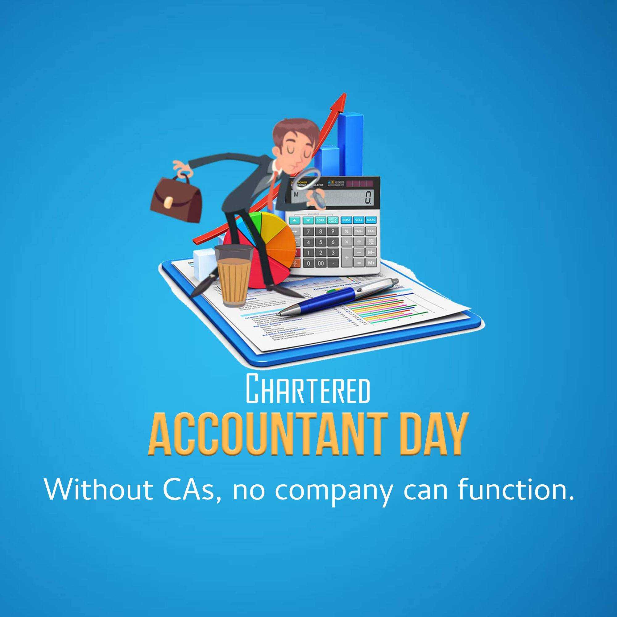Chartered Accountant Day