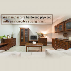 Plywood and Laminate