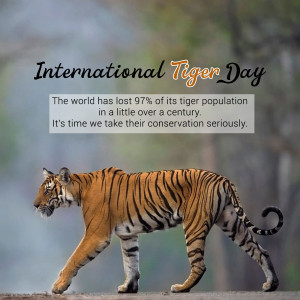 International Tiger Day