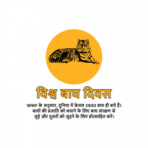 International Tiger Day