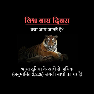 International Tiger Day