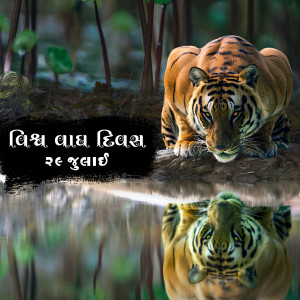 International Tiger Day