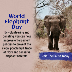 World Elephant Day