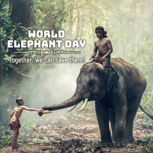 World Elephant Day